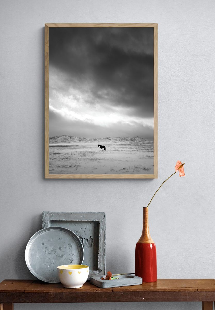 Solitary Horse in Snowy Landscape Poster. — room view 3