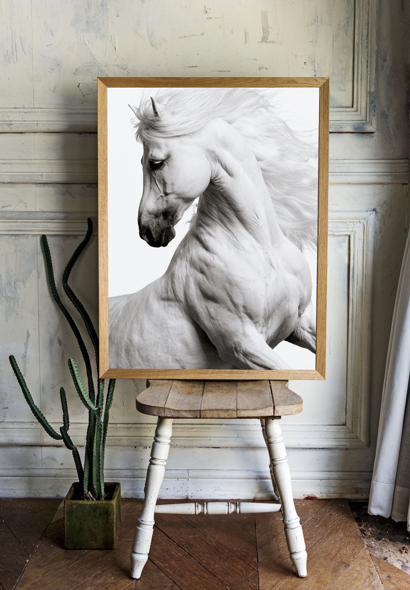 White Horse Portrait Photography Poster. room preview