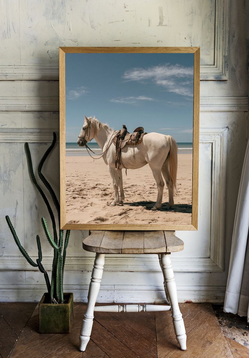White Horse on Beach Photography Poster. — room view 1