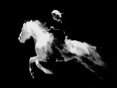 Galloping Horse Black-White Poster.