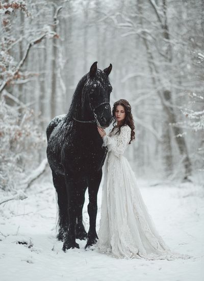 Winter Horse Portrait Print.