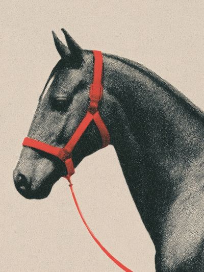 Horse Portrait Vintage Print. poster