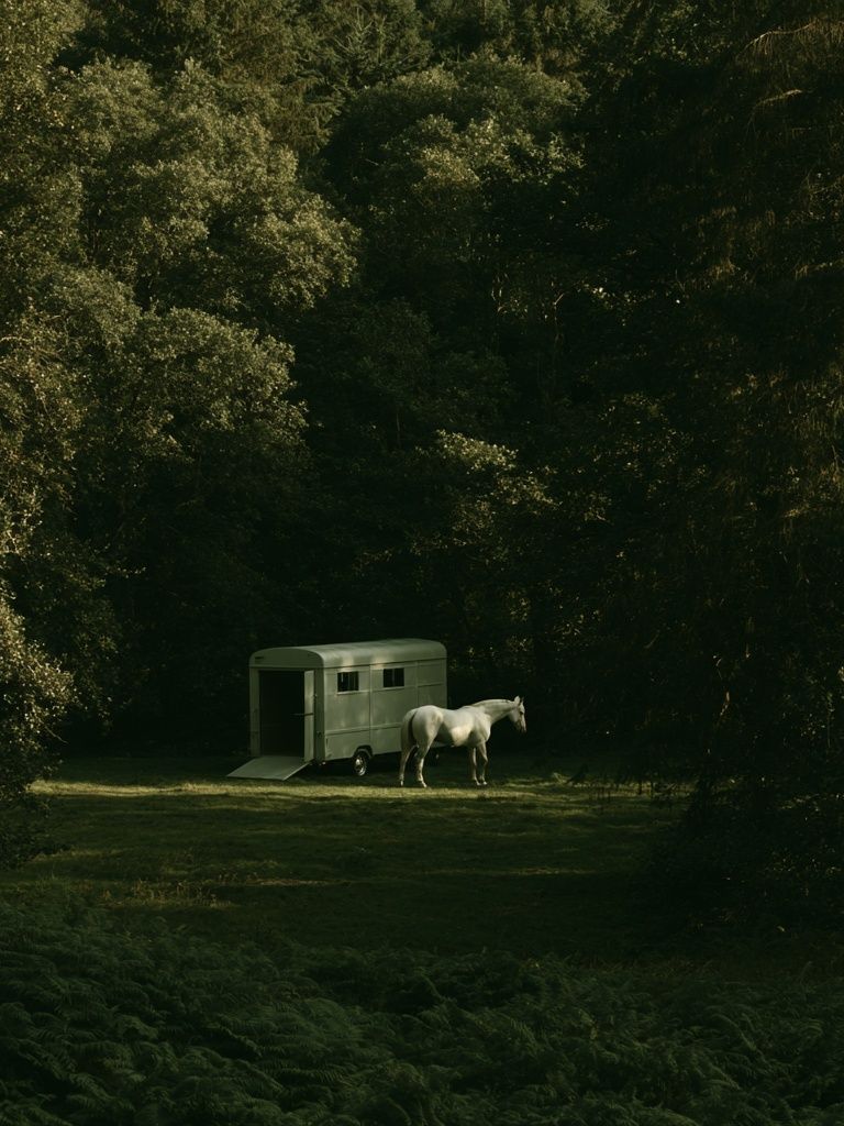 Horse in Forest Clearing Photography Poster. poster detail