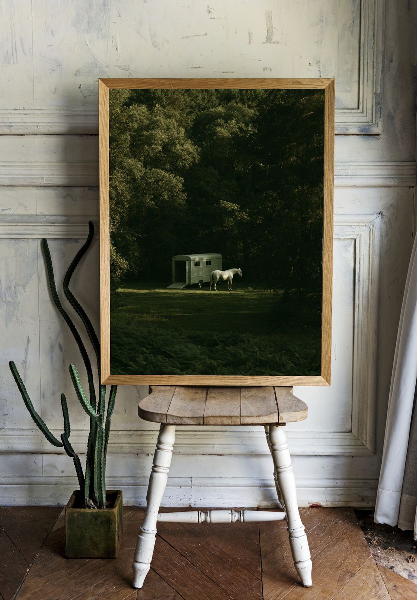 Horse in Forest Clearing Photography Poster. room preview
