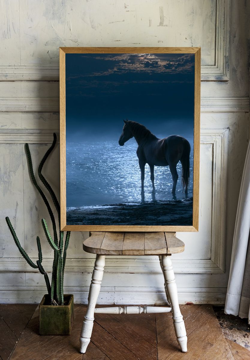 Moonlit Horse by the Water Poster. room preview
