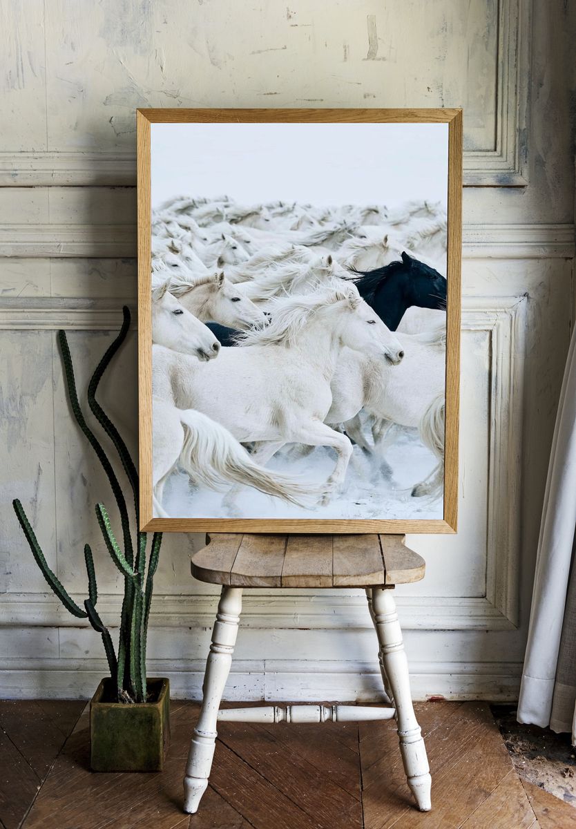 White Horses Herd Photography Poster. room preview