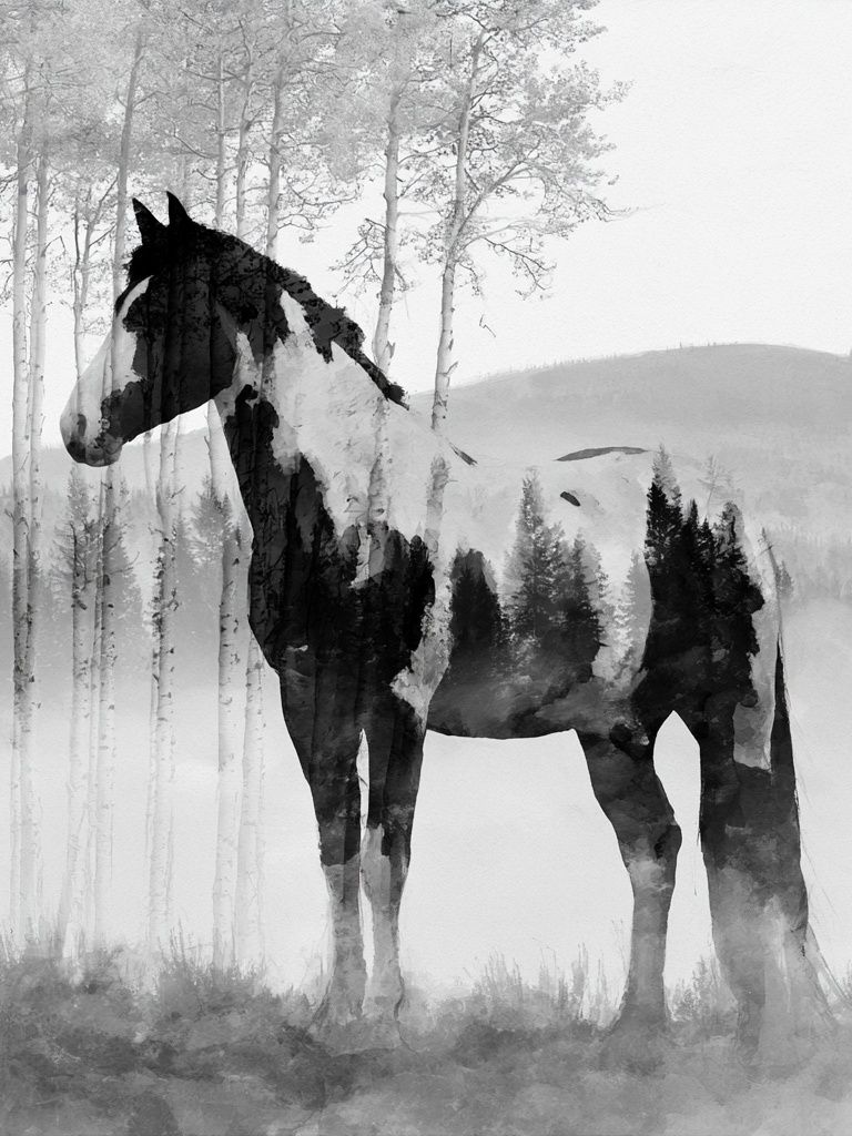 Horse in Misty Forest Print. poster — animals art