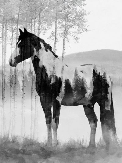 Horse in Misty Forest Print.