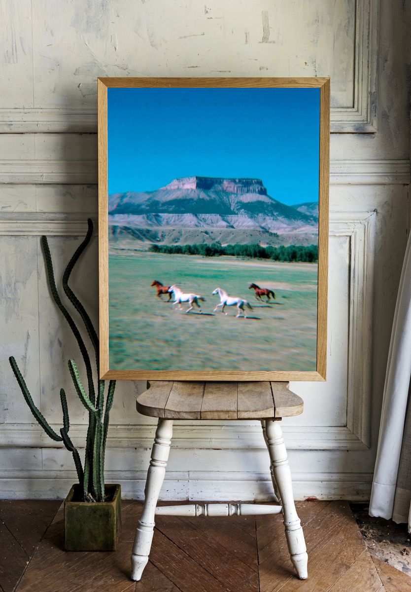 Galloping Horses in Nature Poster. room preview