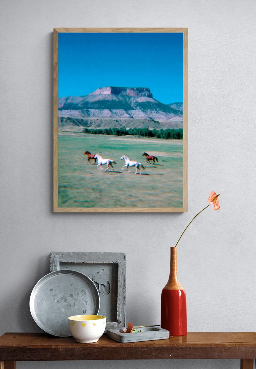 Galloping Horses in Nature Poster. — room view 3