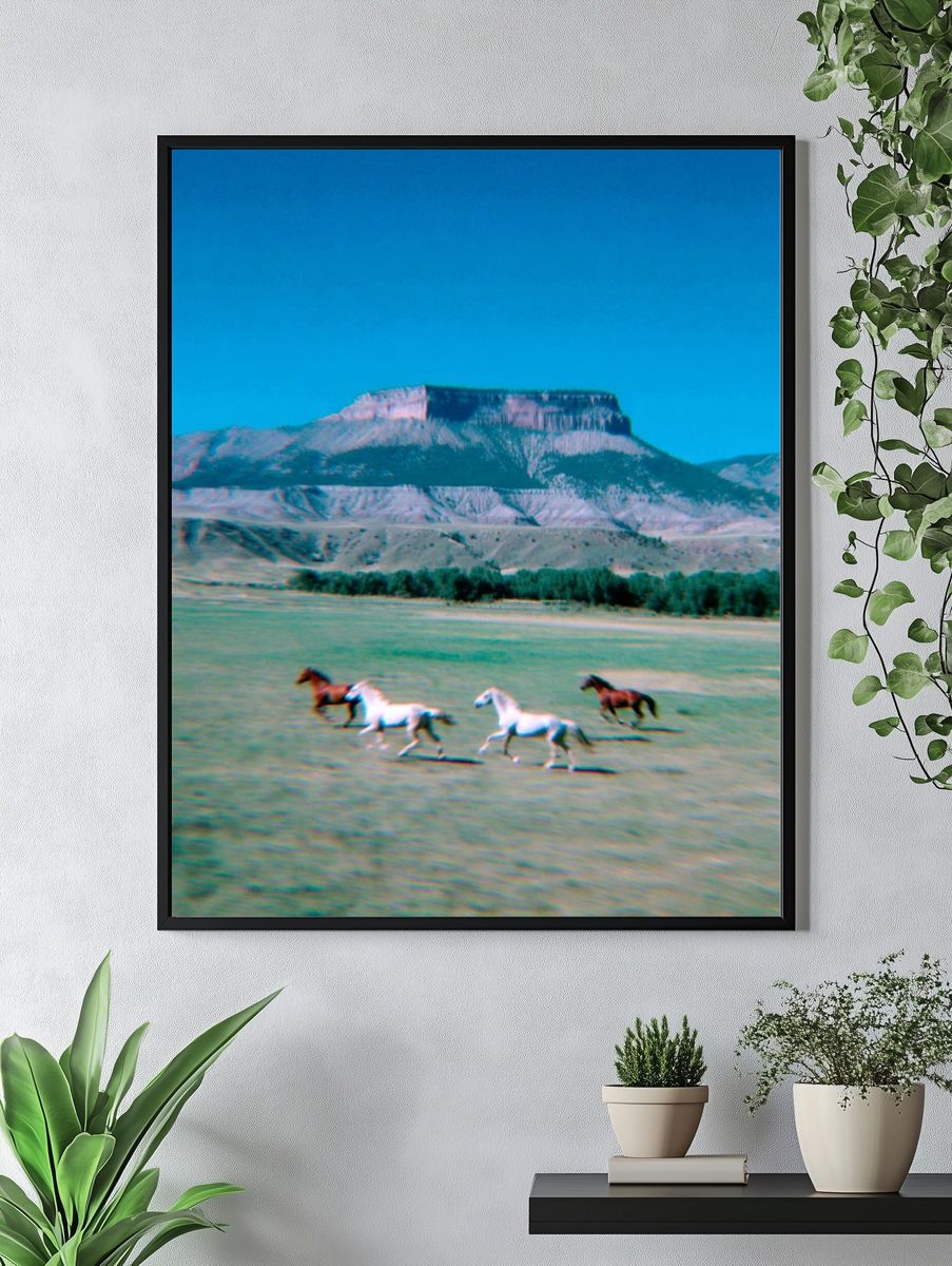 Galloping Horses in Nature Poster. — room view 4