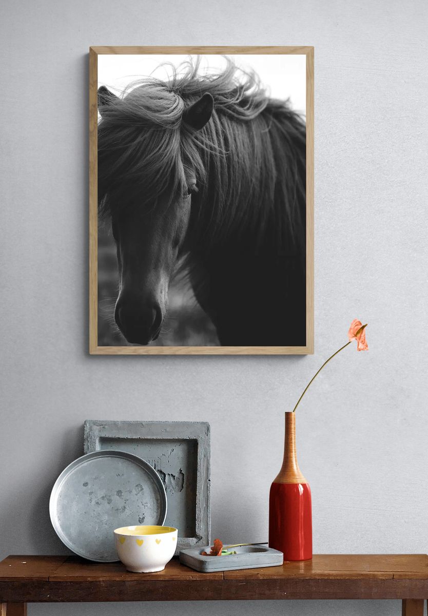 Horse in a field grayscale. — room view 3