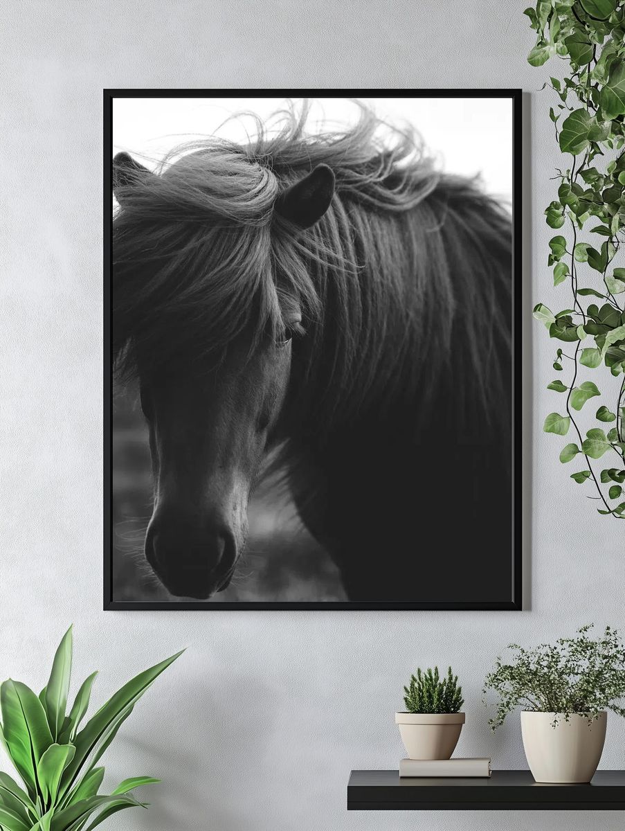 Horse in a field grayscale. — room view 4