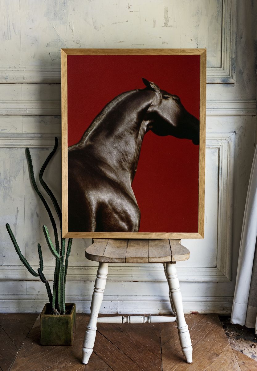 Majestic Horse — Fine Art Print. — room view 1