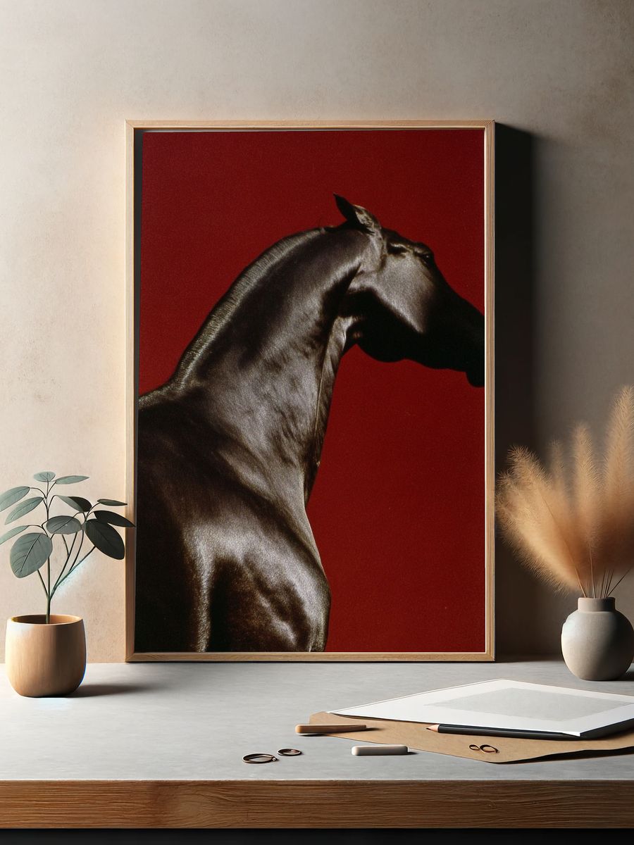 Majestic Horse — Fine Art Print. — room view 2