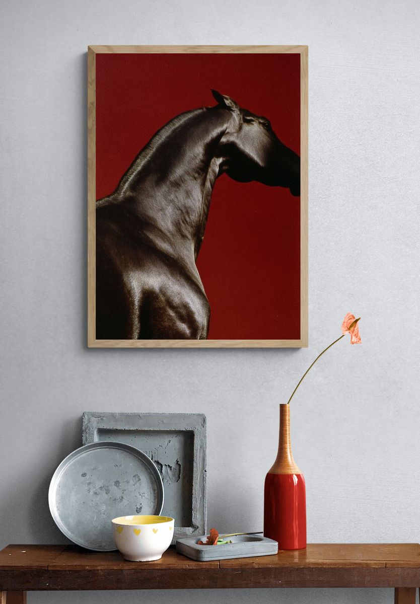 Majestic Horse — Fine Art Print. — room view 3