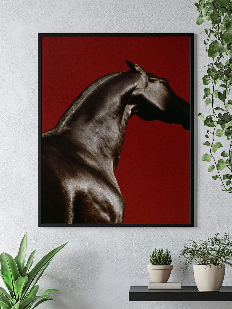 Majestic Horse — Fine Art Print. — room view 4