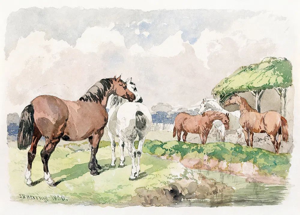 Horses in Pastoral Landscape — Watercolor Print. poster detail