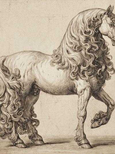Elegant Horse Illustration Poster. poster print