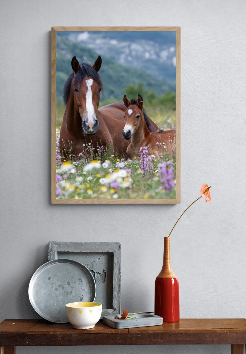 Horse and Foal Meadow Photography Poster. — room view 3