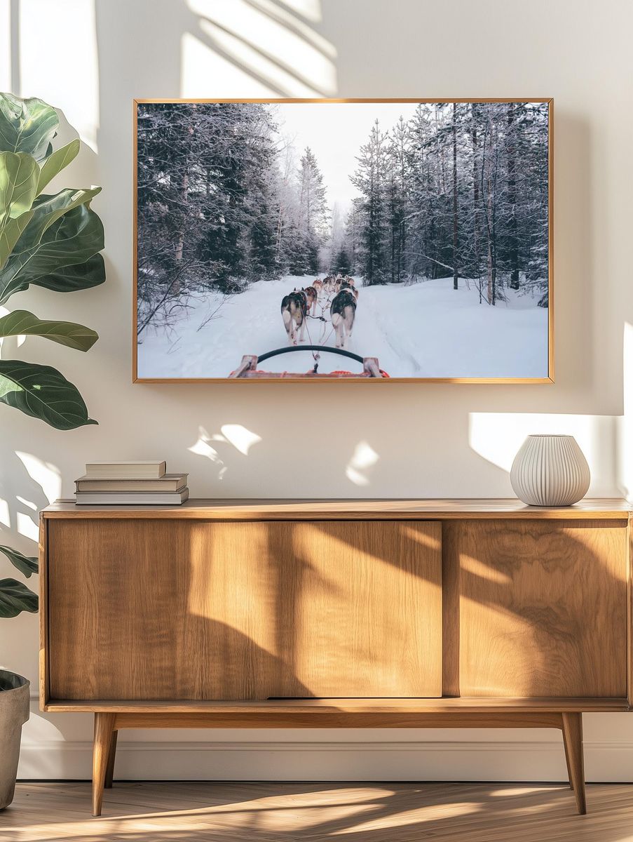 Husky Sledding in Winter Forest Poster. — room view 3