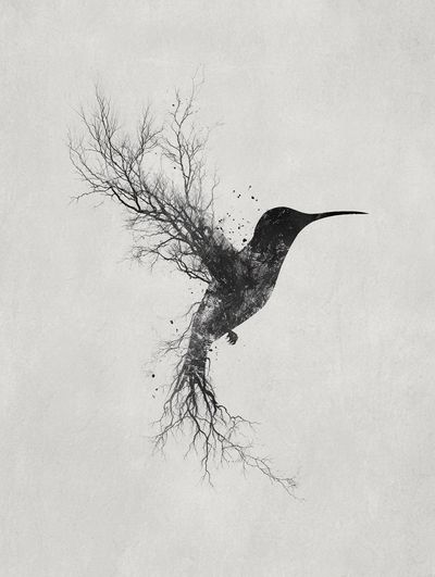 Hummingbird Tree Silhouette Print. poster print