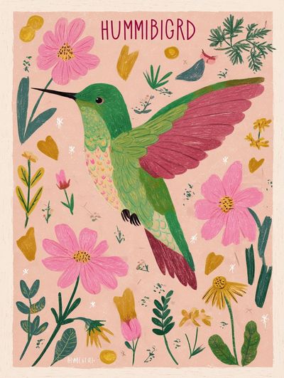 Hummingbird Botanical Illustration Poster