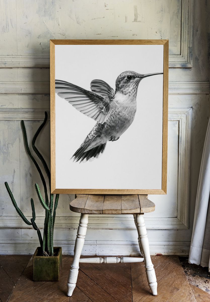 Hummingbird in Flight Black-White Print. room preview