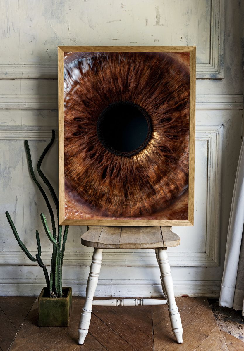 Human Eye Macro Photography Poster. — room view 1