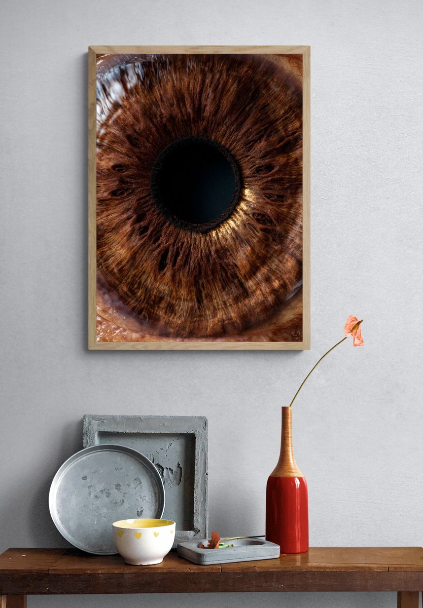 Human Eye Macro Photography Poster. — room view 3