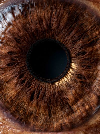 Human Eye Macro Photography Poster.