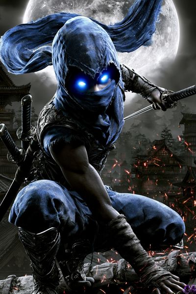 Moonlit Ninja Warrior Poster.