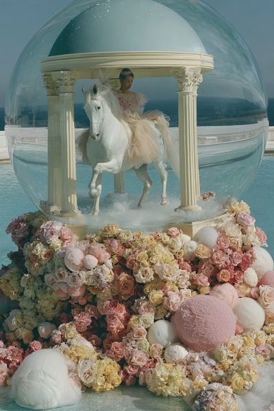 Dreamlike Horse Dome Illustration Poster. poster