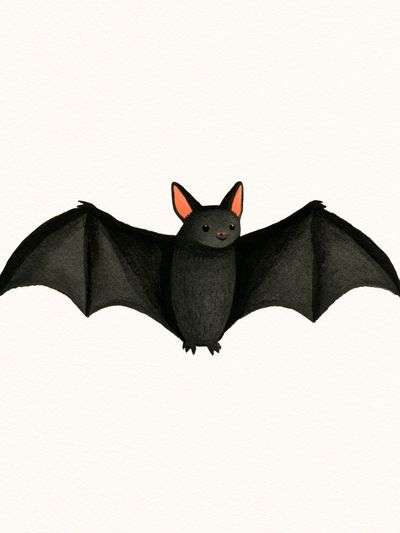 Cute Bat Illustration Poster. poster