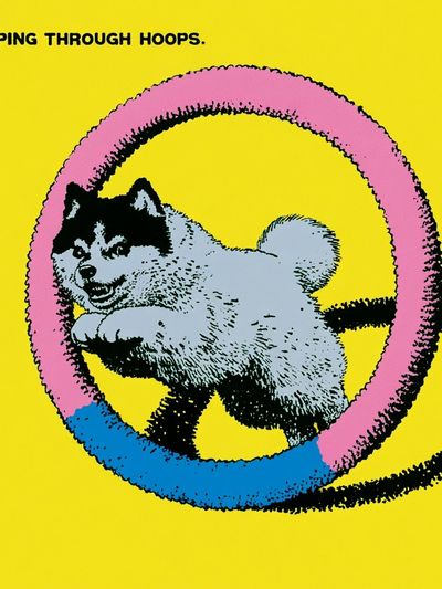 Jumping Through Hoops Cat Pop-Art Poster.