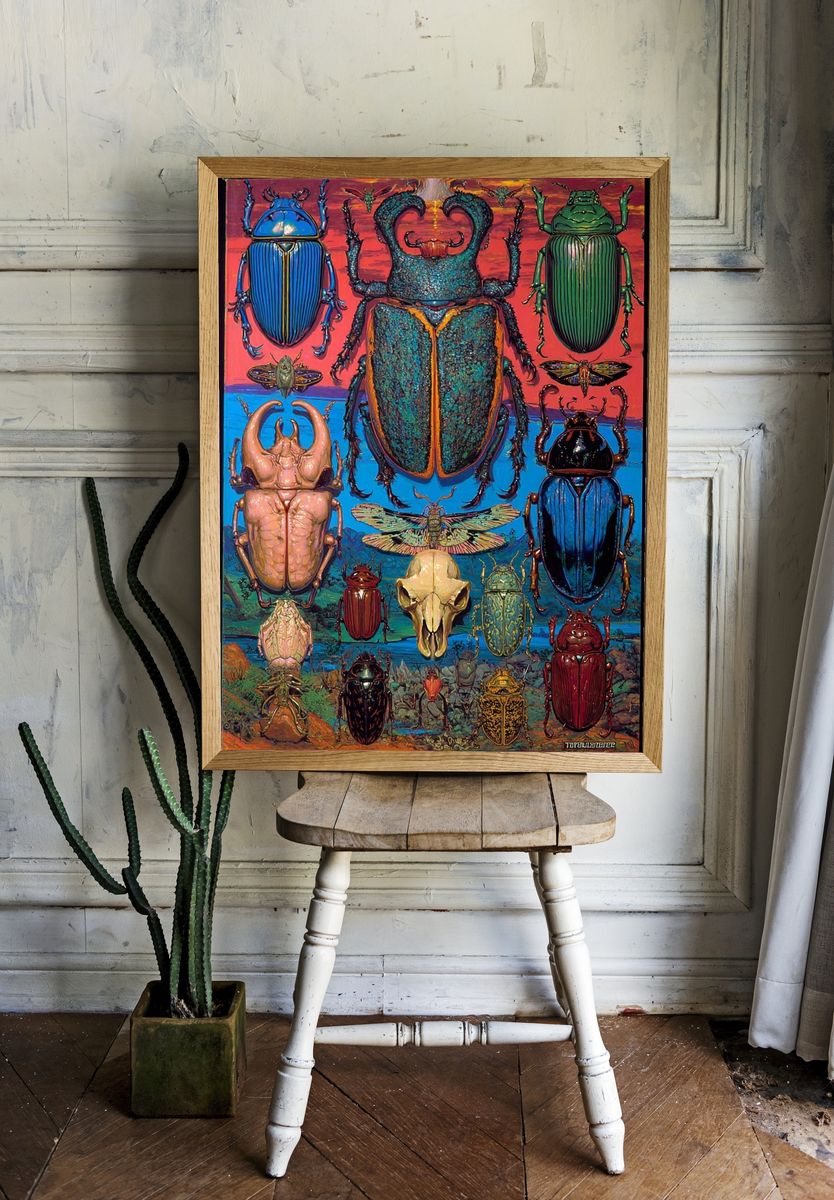 Beetle Collection Illustration Poster. — room view 1
