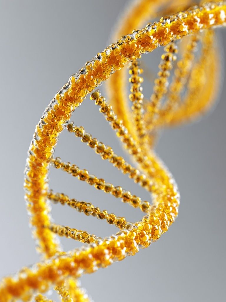 Golden DNA Helix Illustration Poster. poster detail