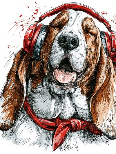 Headphone Basset Hound Illustration Poster.