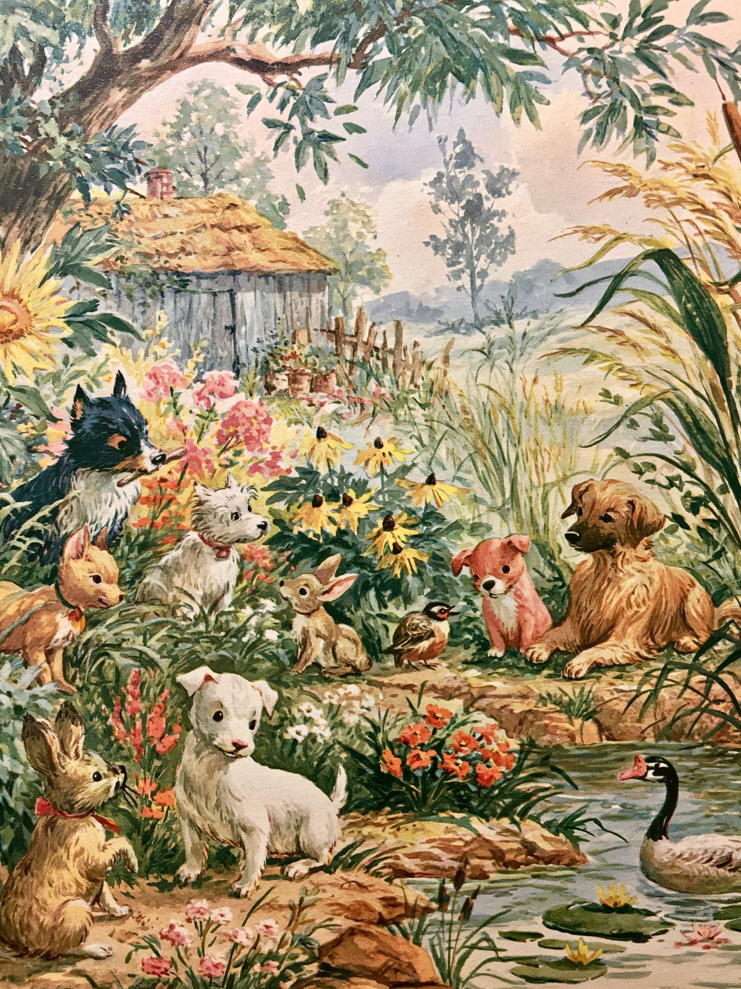 Country Garden Animals Illustration Poster. poster — illustration art