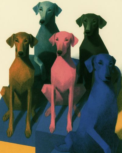 Colorful Dachshund Group Illustration Poster.