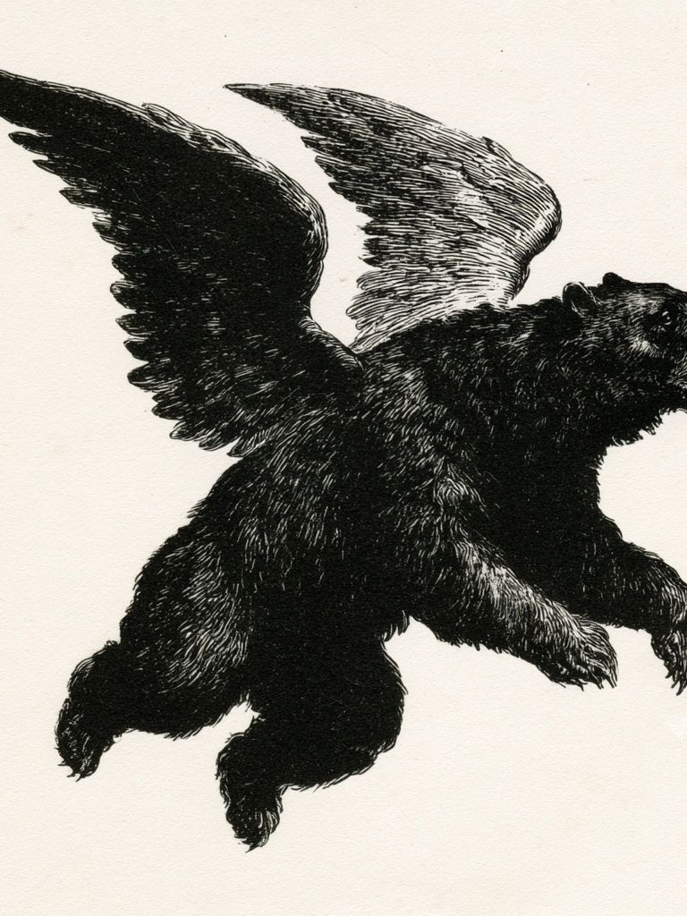Winged Bear Illustration Poster. poster detail