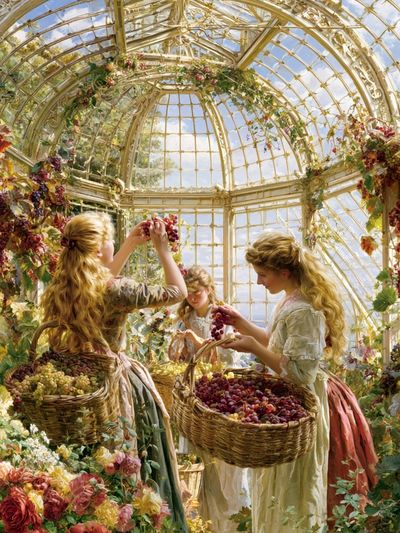 Grapevine Conservatory Illustration Poster.