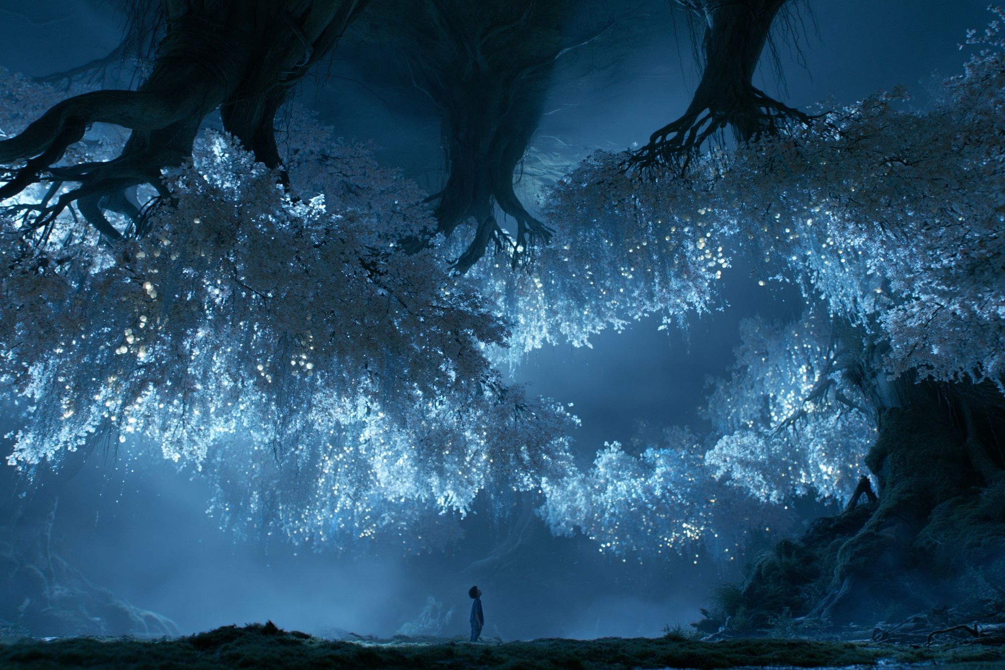 Enchanted Blue Forest Poster. poster — illustration art