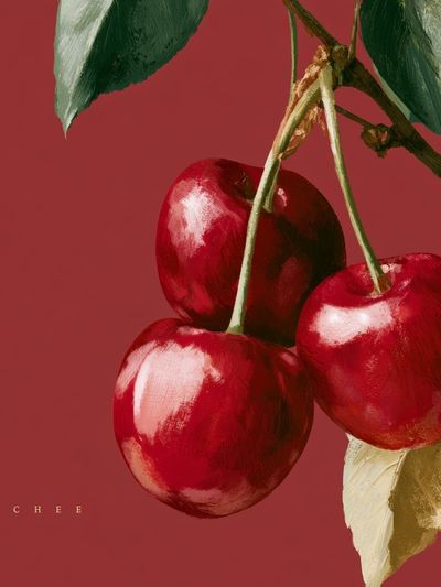 Cherry Still Life Illustration Poster.