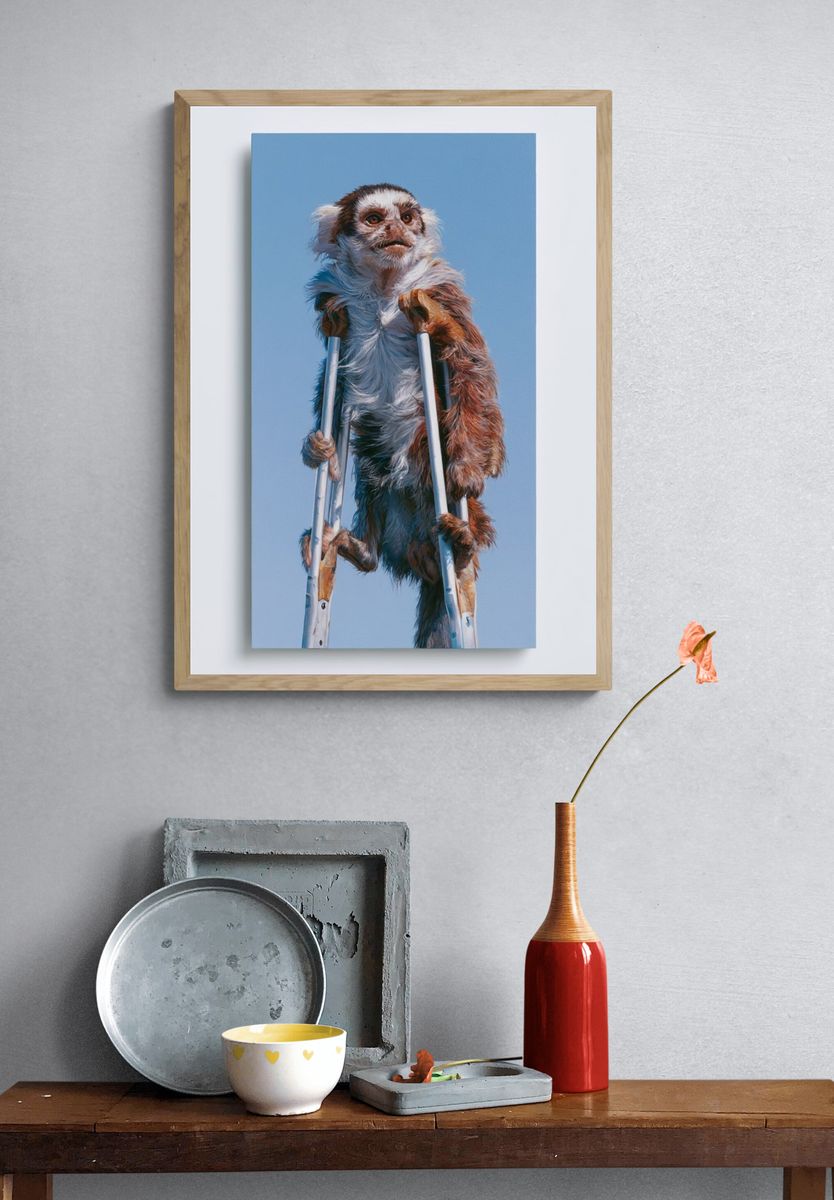 Monkey on Crutches Illustration Poster. — room view 3