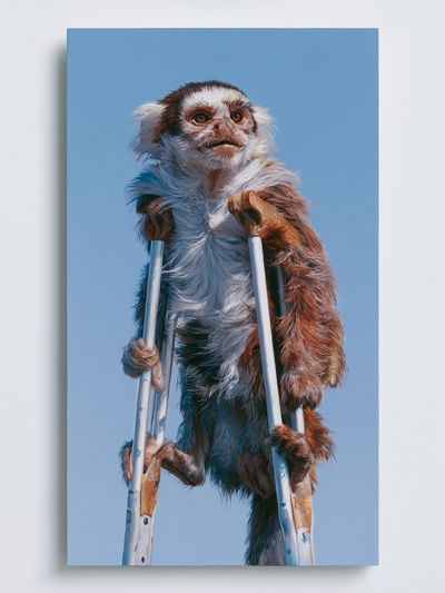 Monkey on Crutches Illustration Poster.