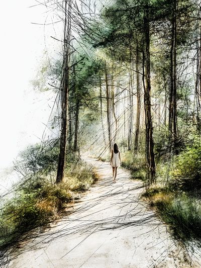 Forest Path Watercolor Poster.