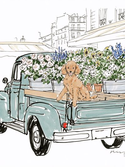 Poodle Flower Truck Illustration Poster.