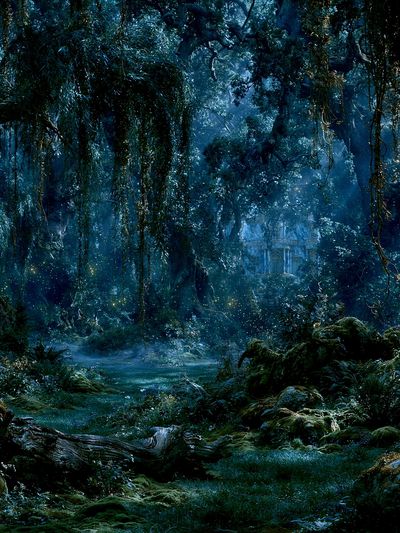 Enchanted Moonlit Forest Print. poster