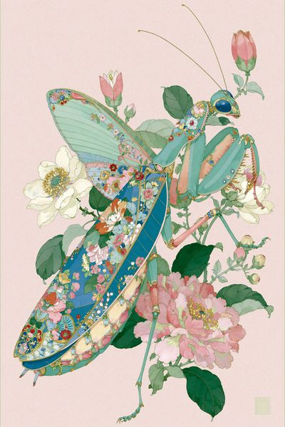 Floral Praying Mantis Illustration Poster.